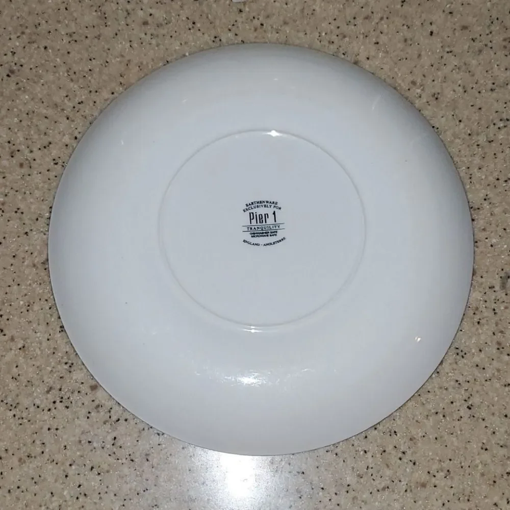 Pier 1 Imports Tranquility Dinner Plate